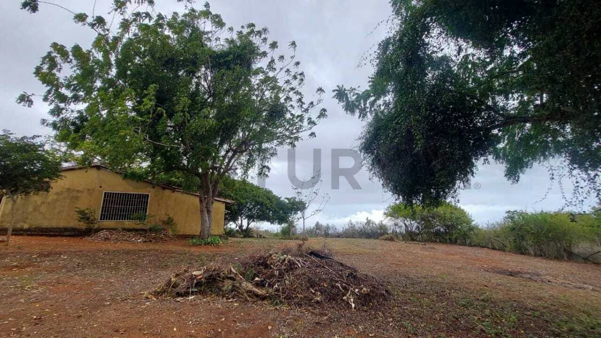 Terreno Agrícola con Casa ARICAGUA MARGARITA - 24