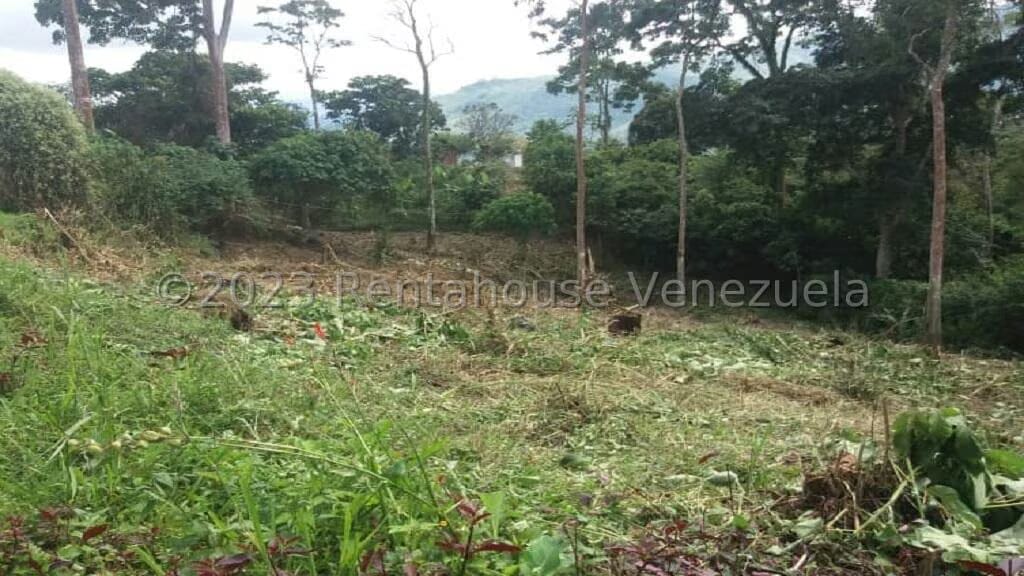 Terreno (Residencial) en Venta en Juan Diaz, Trujillo - 3