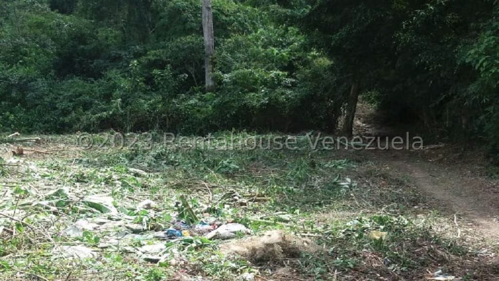 Terreno (Residencial) en Venta en Juan Diaz, Trujillo - 6