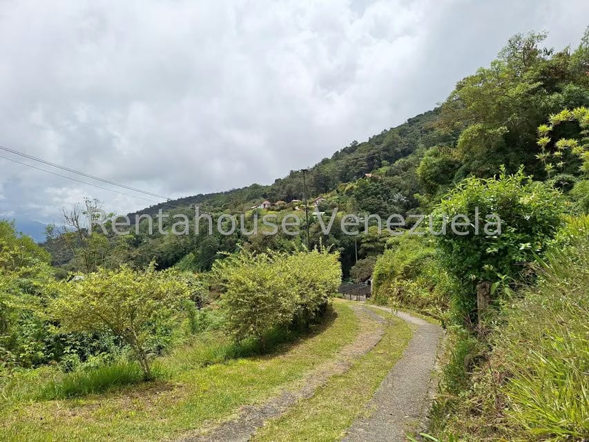 Terreno (Comercial) en Venta en La Colonia Tovar, Aragua - 2