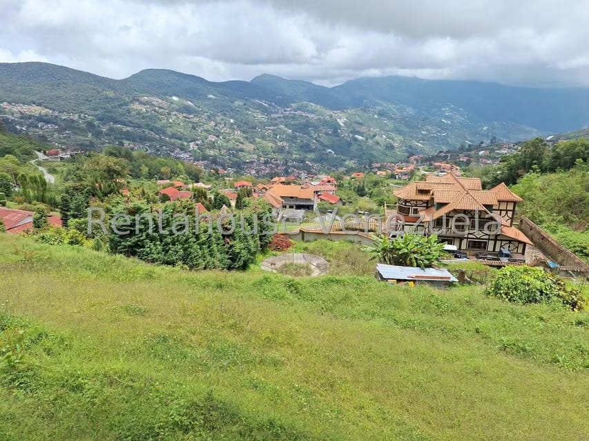 Terreno (Comercial) en Venta en La Colonia Tovar, Aragua - 12