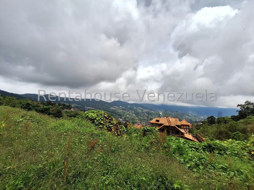 Terreno (Comercial) en Venta en La Colonia Tovar, Aragua - 17