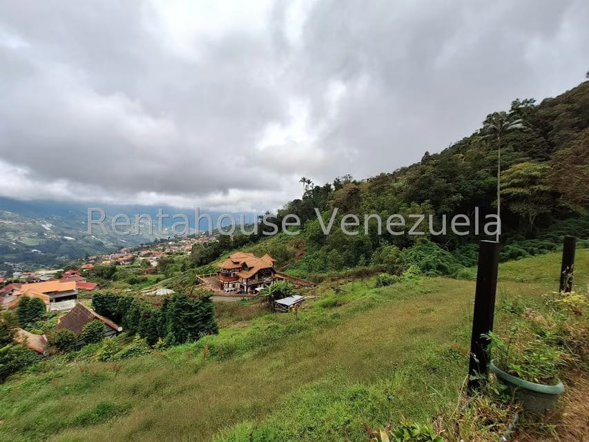 Terreno (Comercial) en Venta en La Colonia Tovar, Aragua - 18