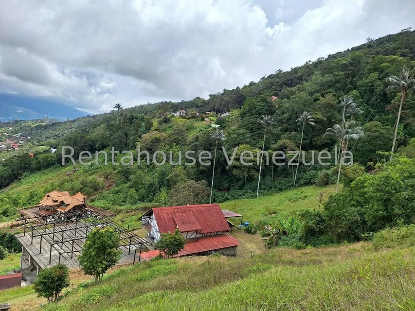 Terreno (Comercial) en Venta en La Colonia Tovar, Aragua - 3