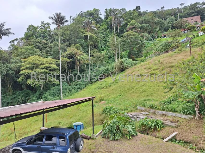 Terreno (Comercial) en Venta en La Colonia Tovar, Aragua - 26