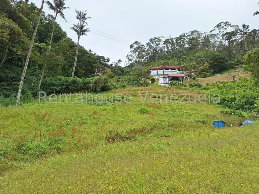 Terreno (Comercial) en Venta en La Colonia Tovar, Aragua - 5