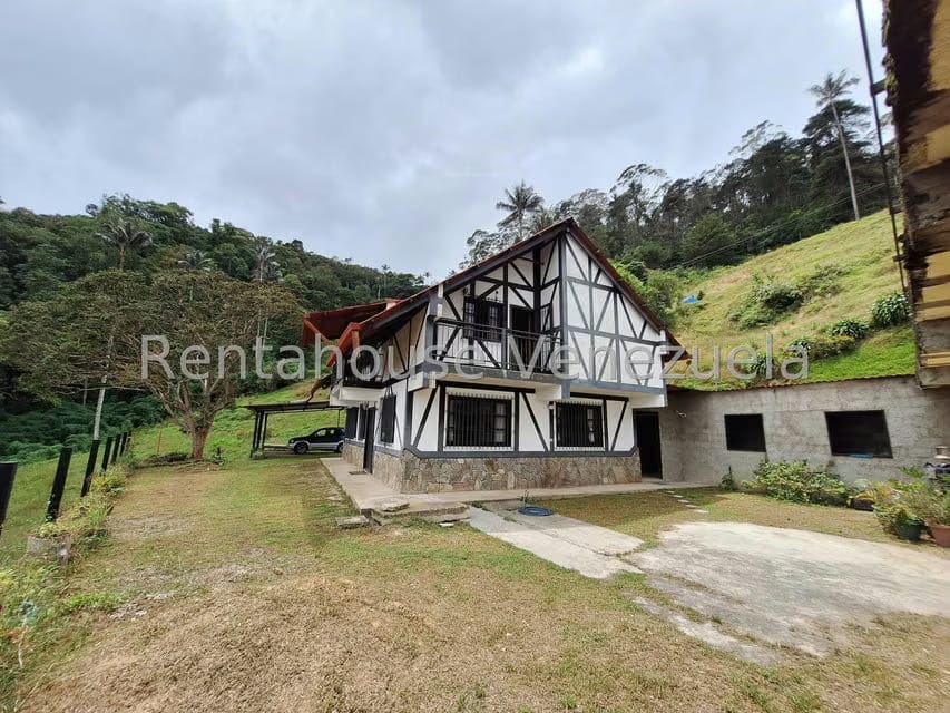 Terreno (Comercial) en Venta en La Colonia Tovar, Aragua - 41