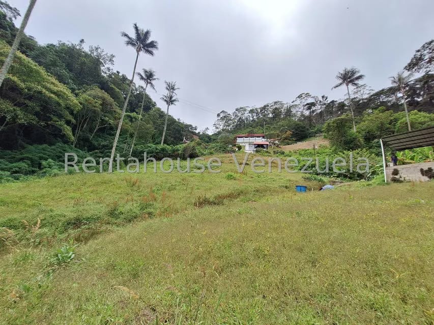 Terreno (Comercial) en Venta en La Colonia Tovar, Aragua - 9