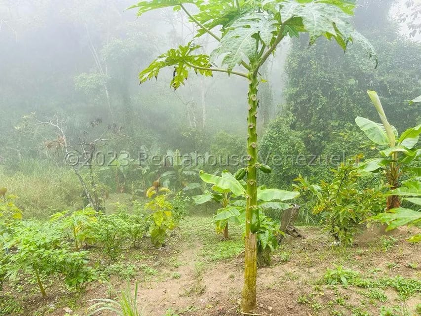 Casa (Multipes Niveles) en Venta en Parcelamiento El Prado, Miranda - 26