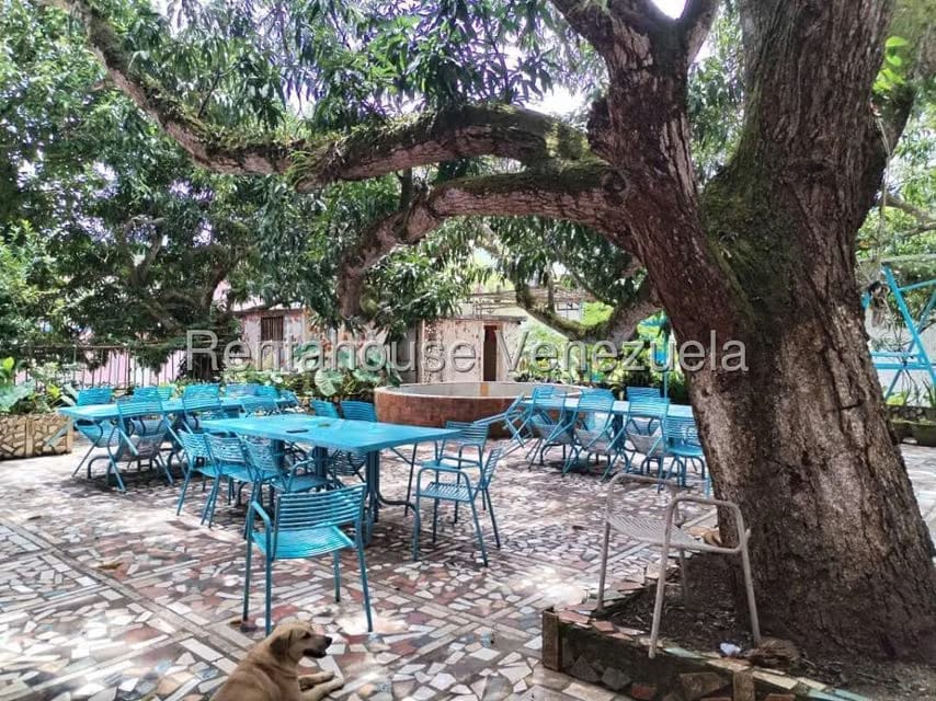 Terreno (Comercial) en Venta en Bejuma, Carabobo - 13