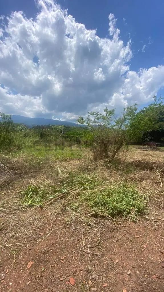 Venta Galpón Barrancas - 11
