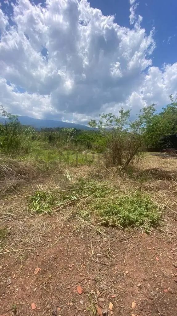 Venta Galpón Barrancas - 10