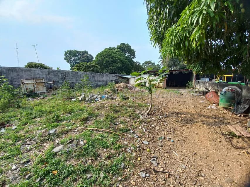 Terreno (Comercial) en Venta en Centro, Portuguesa - 3