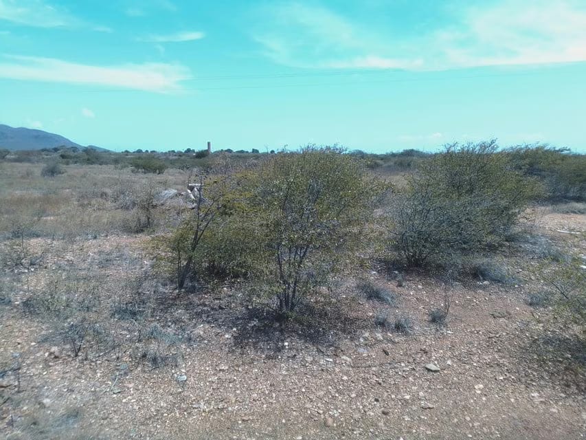 Terreno (Comercial) en Venta en La Guardia, Nueva Esparta - 11
