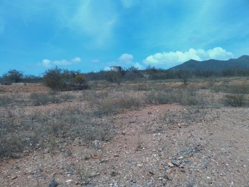 Terreno (Comercial) en Venta en La Guardia, Nueva Esparta - 7