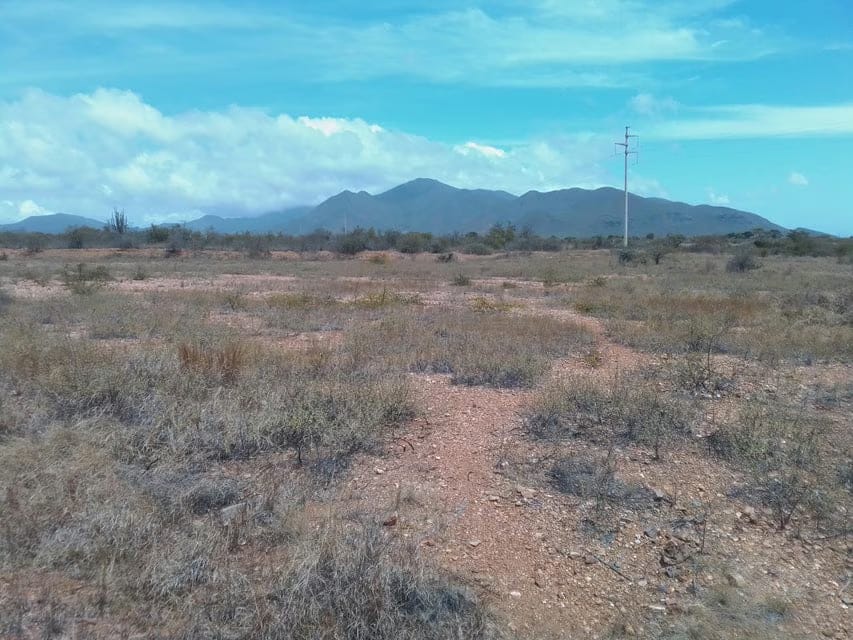 Terreno (Comercial) en Venta en La Guardia, Nueva Esparta - 10