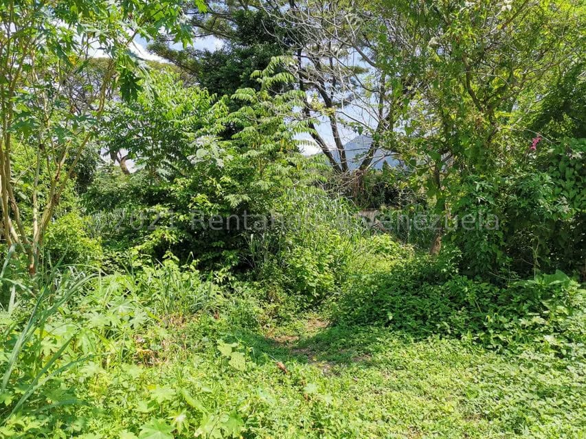 Terreno (Comercial) en Venta en Pueblo de San Diego, Carabobo - 3