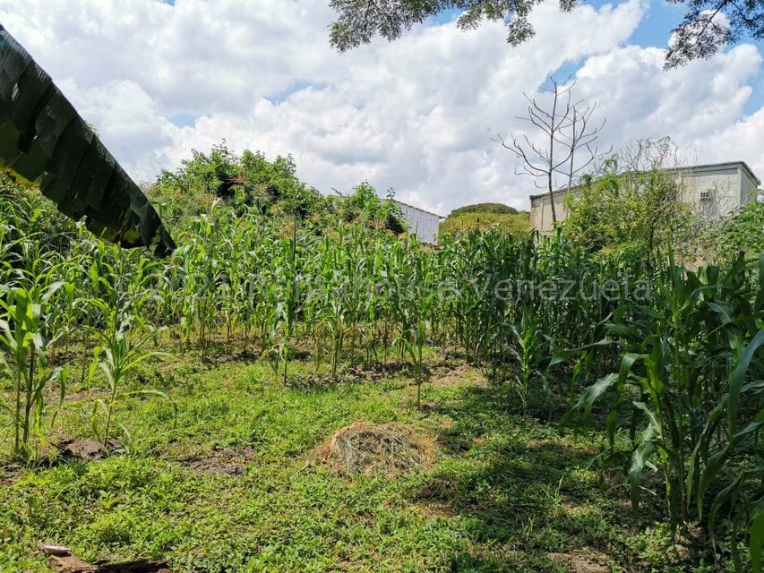 Terreno (Comercial) en Venta en Pueblo de San Diego, Carabobo - 7