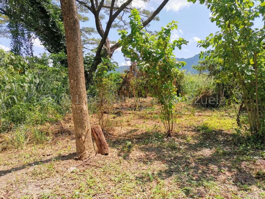 Terreno (Comercial) en Venta en Pueblo de San Diego, Carabobo - 8