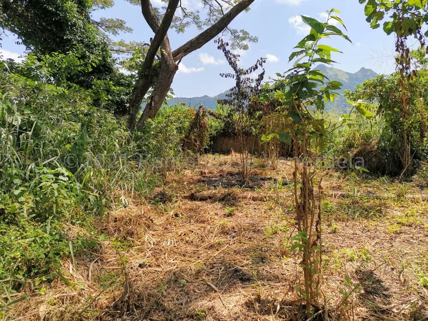 Terreno (Comercial) en Venta en Pueblo de San Diego, Carabobo - 9