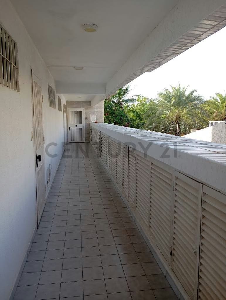Apartamento en planta baja con Terraza en Playa el Angel - 31