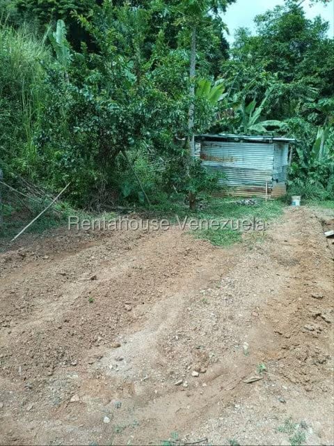 Terreno (Residencial) en Venta en Caicaguana, Distrito Metropolitano - 9
