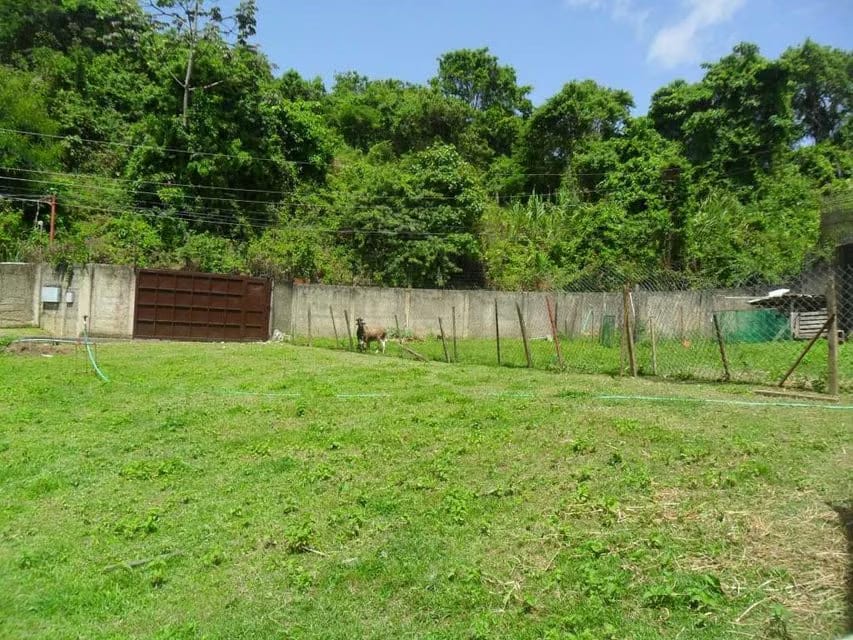 Terreno (Comercial) en Venta en La Union, Distrito Metropolitano - 2