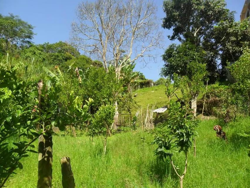 Terreno (Comercial) en Venta en La Union, Distrito Metropolitano - 17