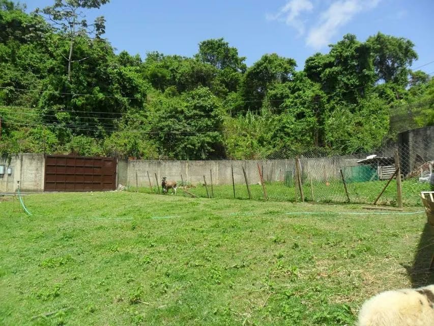 Terreno (Comercial) en Venta en La Union, Distrito Metropolitano - 4