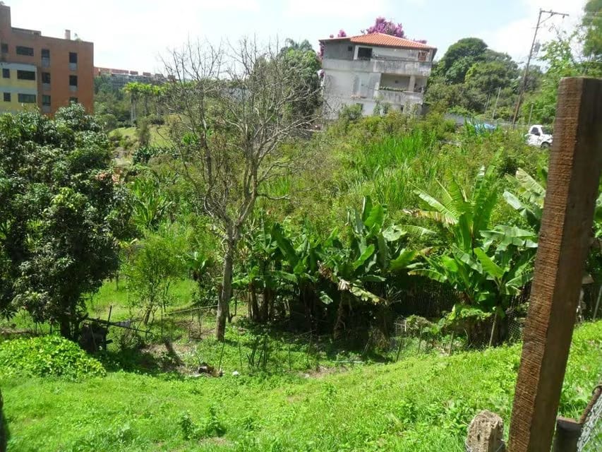 Terreno (Comercial) en Venta en La Union, Distrito Metropolitano - 7