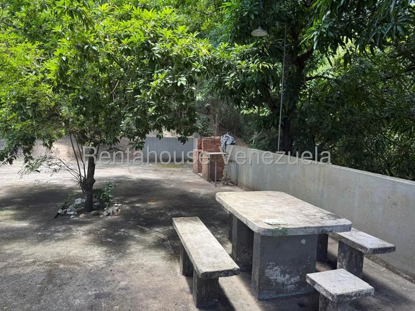 Terreno (Comercial) en Venta en Paramancito, Vargas - 10