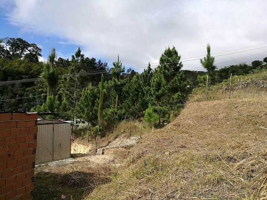 Terreno (Residencial) en Venta en El Hatillo, Distrito Metropolitano - 14