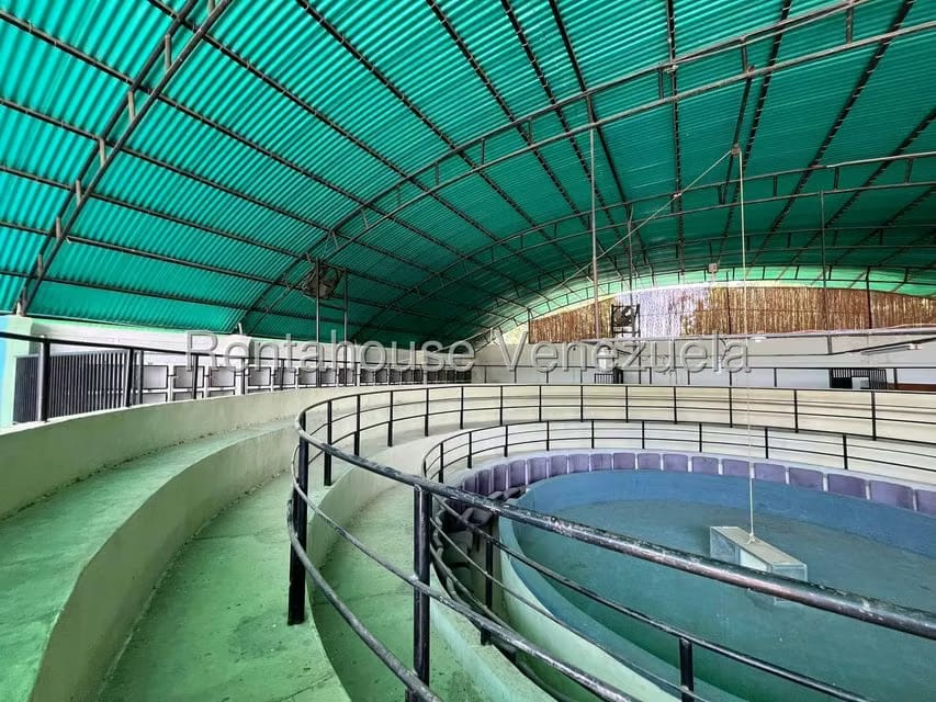 Comercial (Local Comercial) en Venta en Municipio Torres, Lara - 21