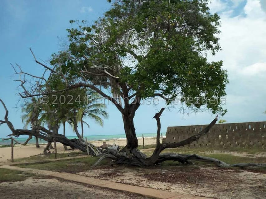 Casa (1 Nivel) en Venta en La Mora I, Anzoategui - 14