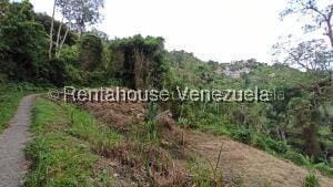 Terreno (Residencial) en Venta en San Diego de los Altos, Miranda - 2