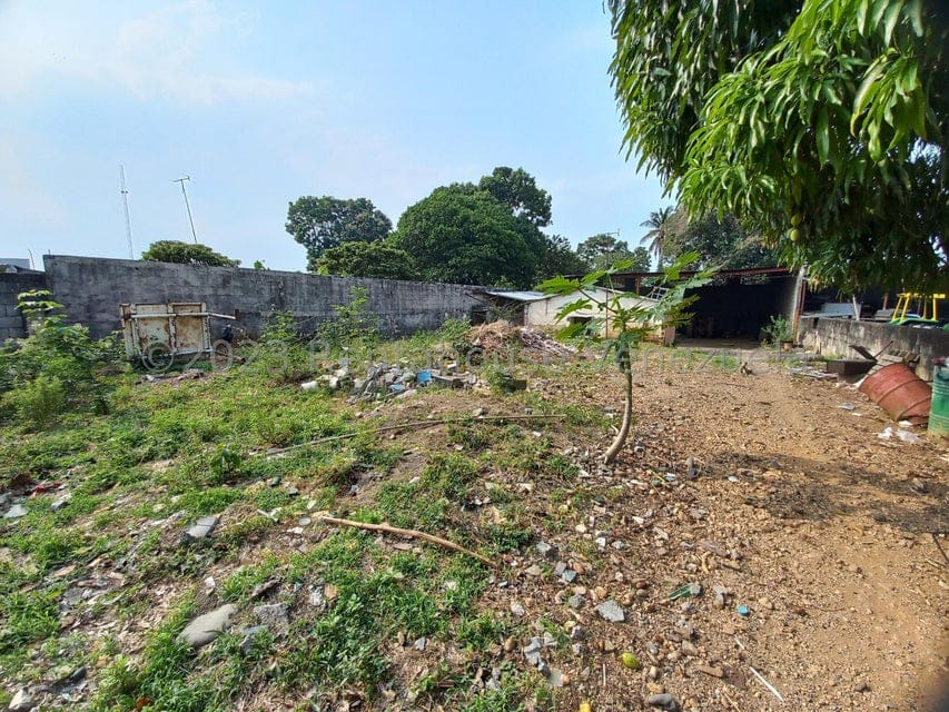 Terreno (Comercial) en Venta en Centro, Portuguesa