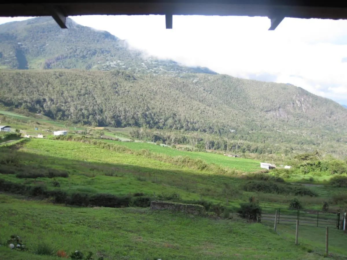 EN VENTA TERRENO DE 4.000 MTS EN ALTO DE TOMON, ESTADO TRUJILLO - VENEZUELA