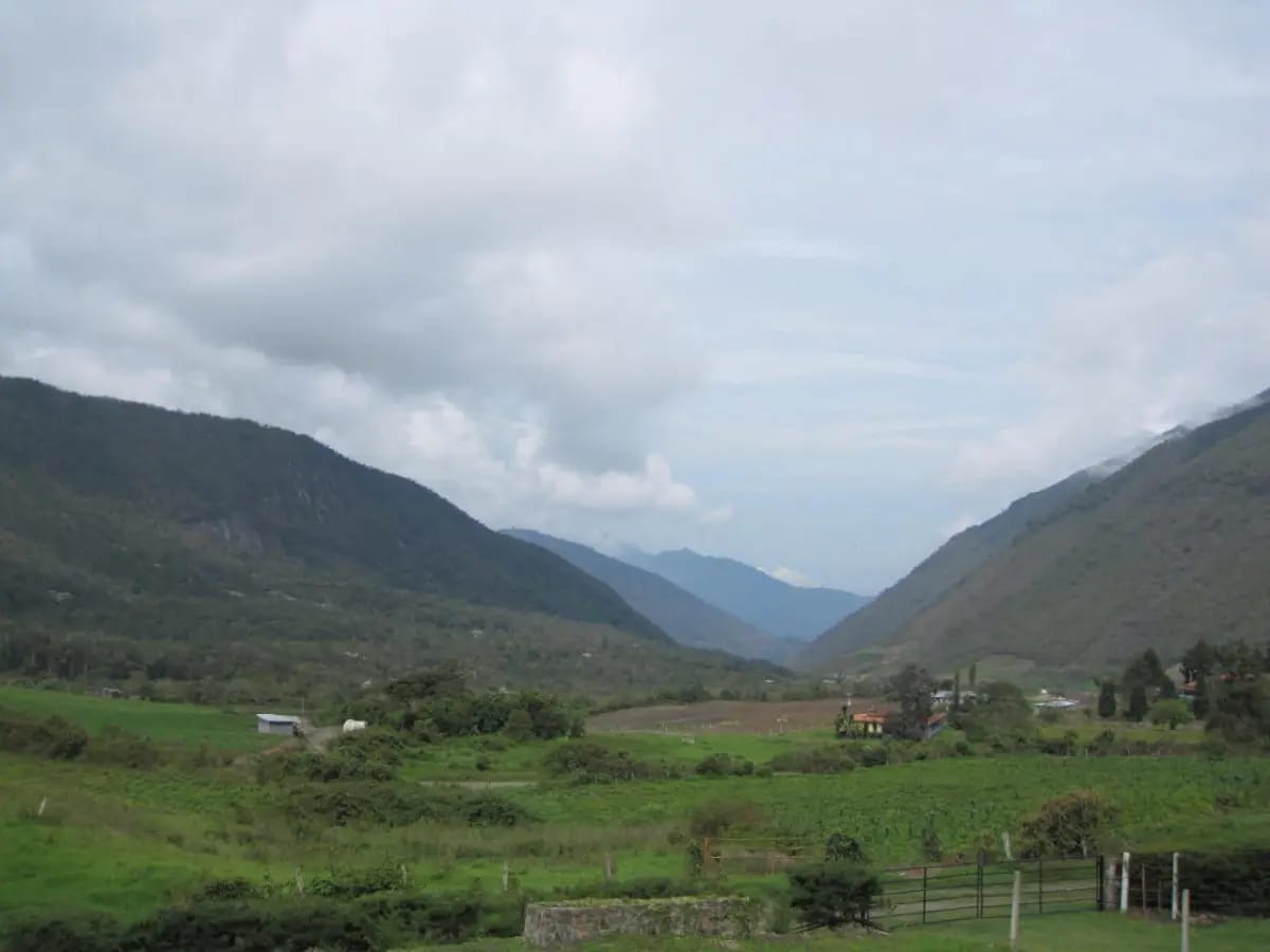 EN VENTA TERRENO DE 4.000 MTS EN ALTO DE TOMON, ESTADO TRUJILLO - VENEZUELA - 2