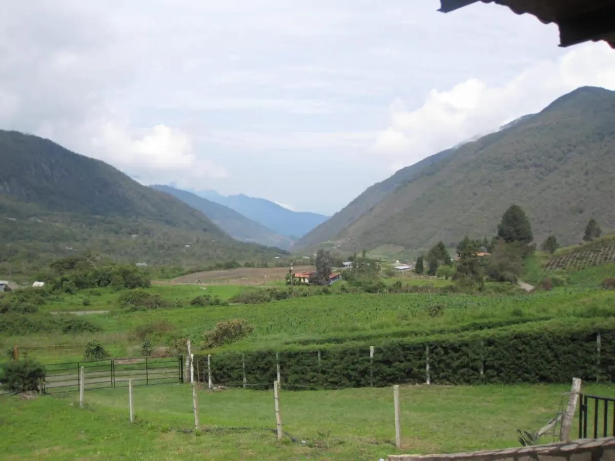 EN VENTA TERRENO DE 4.000 MTS EN ALTO DE TOMON, ESTADO TRUJILLO - VENEZUELA - 3