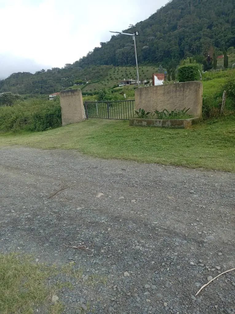 EN VENTA TERRENO DE 4.000 MTS EN ALTO DE TOMON, ESTADO TRUJILLO - VENEZUELA - 4