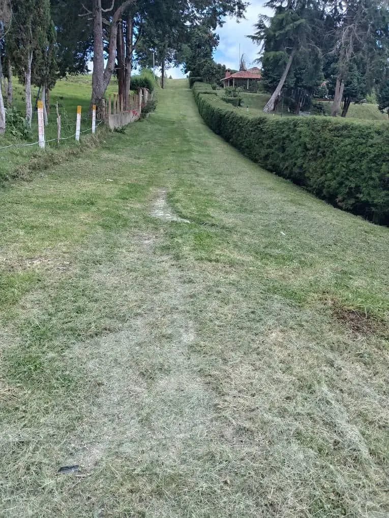 EN VENTA TERRENO DE 4.000 MTS EN ALTO DE TOMON, ESTADO TRUJILLO - VENEZUELA - 5