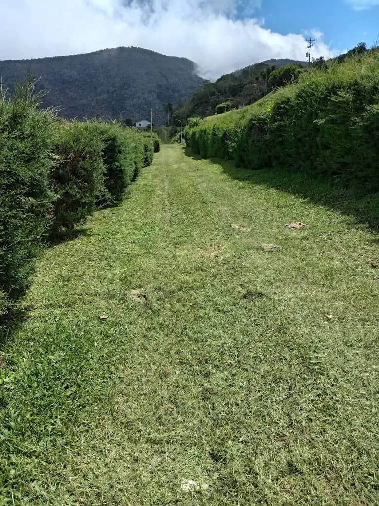 EN VENTA TERRENO DE 4.000 MTS EN ALTO DE TOMON, ESTADO TRUJILLO - VENEZUELA - 6