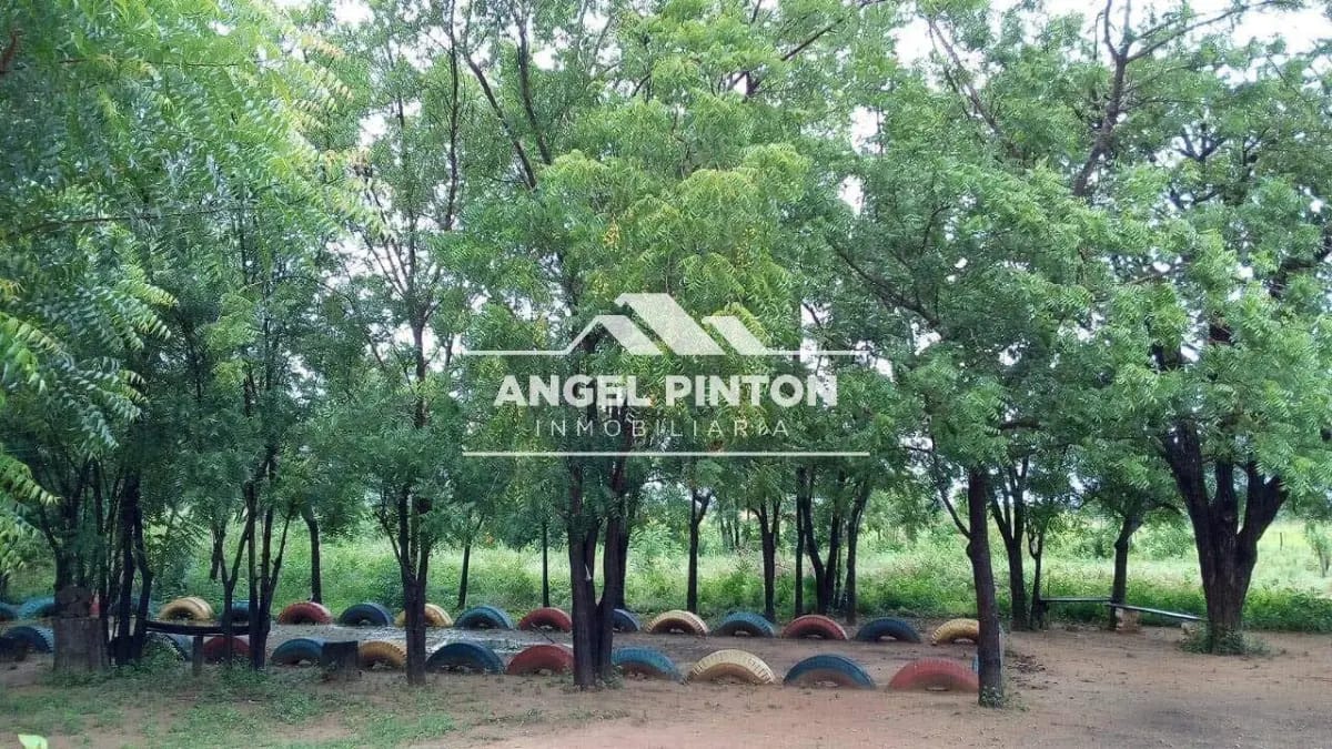 GRANJA EN VENTA MECOCAL LOS PUERTOS DE ALTAGRACIA API 7553 YELITZABRACHO ARENAS - 3