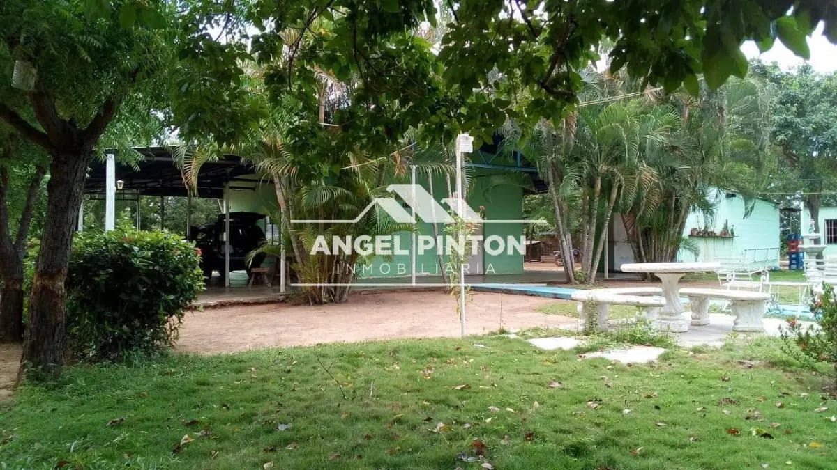 GRANJA EN VENTA MECOCAL LOS PUERTOS DE ALTAGRACIA API 7553 YELITZABRACHO ARENAS - 4