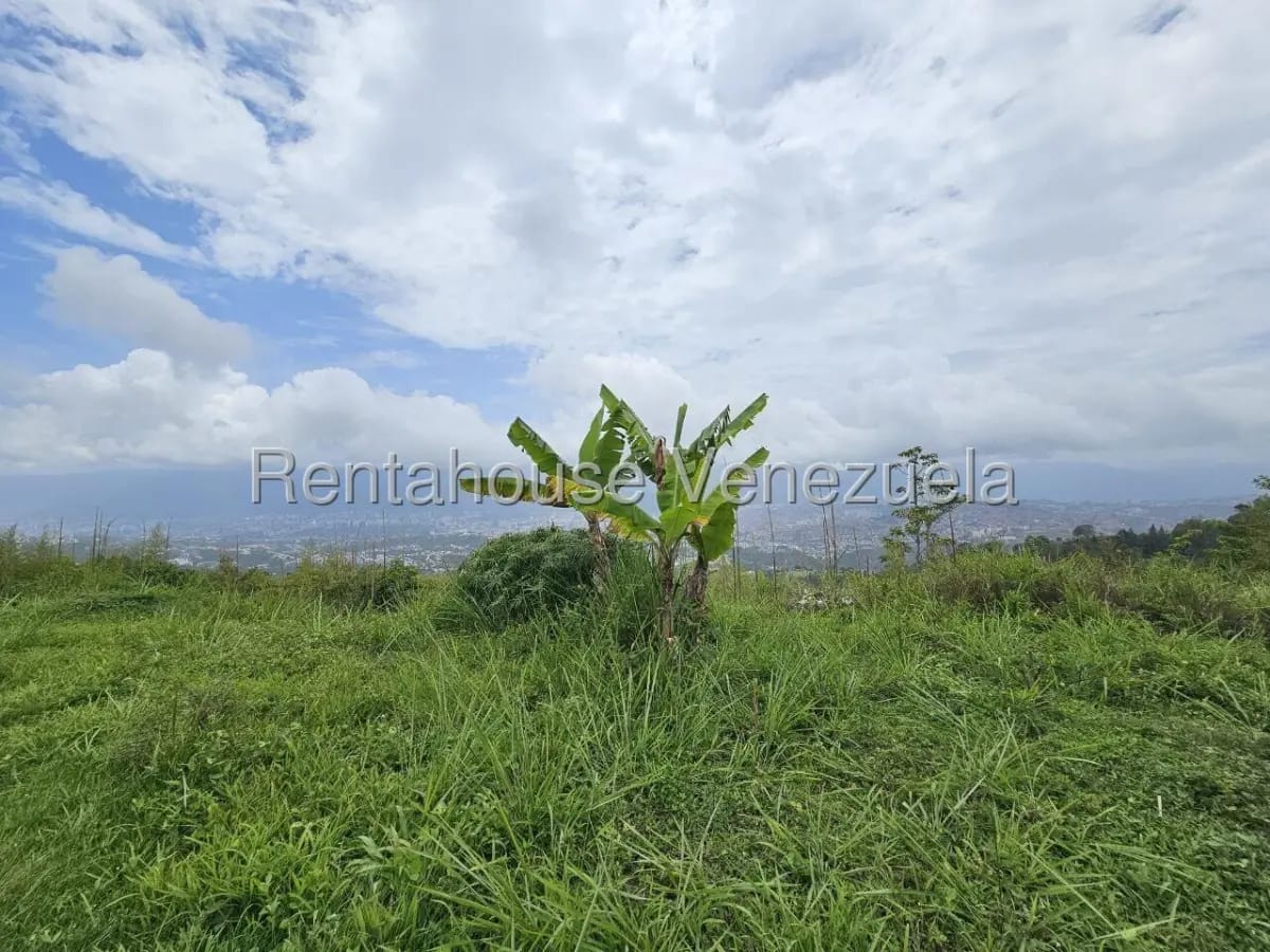Exclusivo Terreno En Venta Urb. Alto Hatillo, Caracas. Precio de Oportunidad Zona Priviligiada - 8