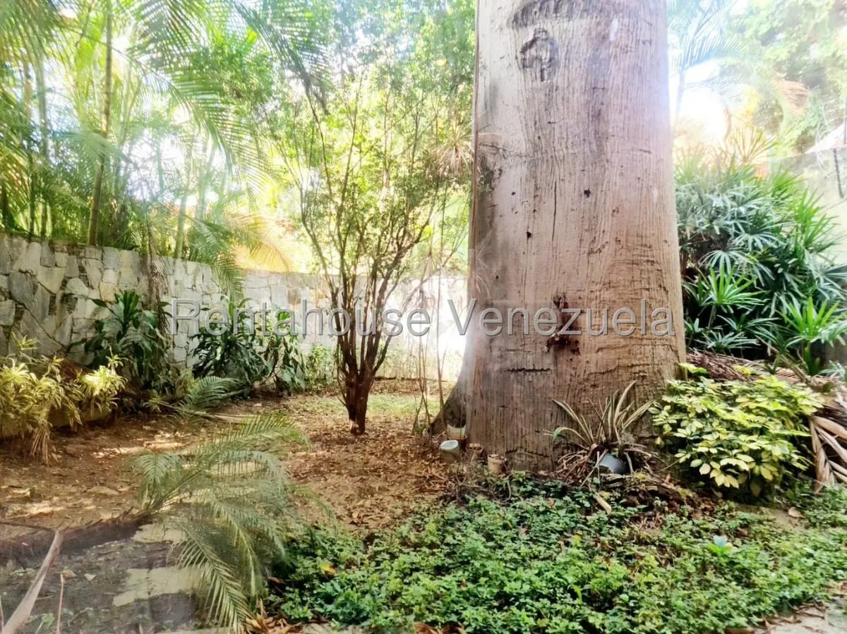 Bello y Amplio Apartamento en Venta Altamira, con gran jardin y propia piscina. - 15