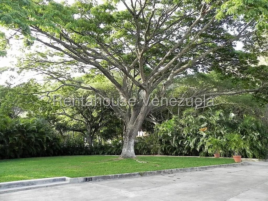 Extraordinaria Agencia de Festejo En Venta San Bernardino, Caracas - 12