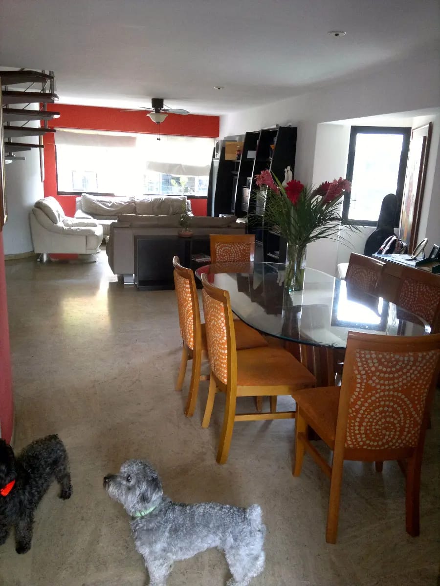 Hermoso apartamento PH en Campo Alegre Chacao - 6