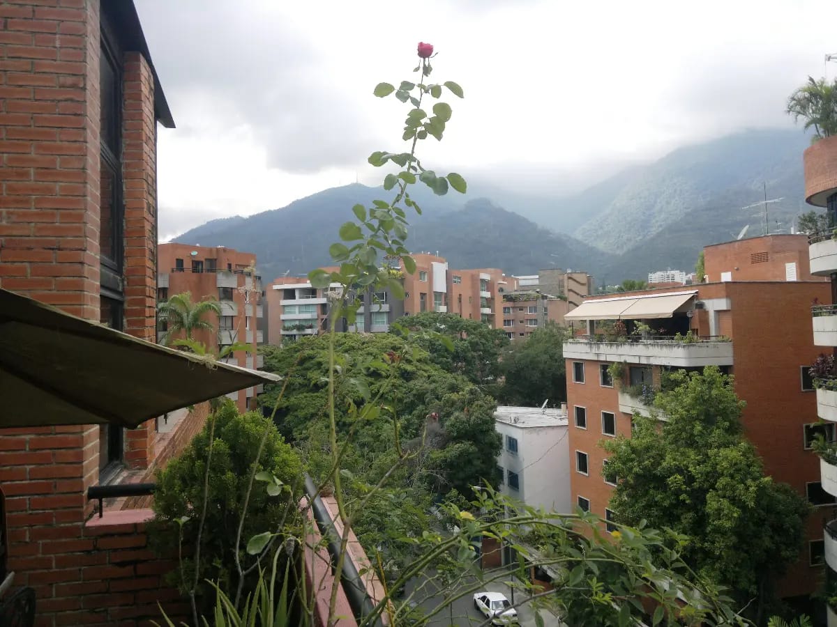 Hermoso apartamento PH en Campo Alegre Chacao - 18