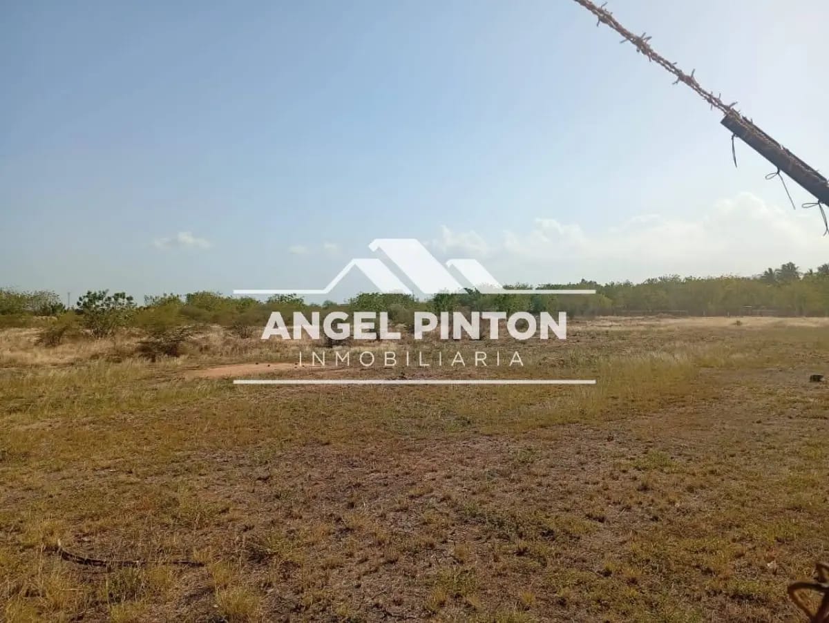 TERRENO VENTA VIA AL AEROPUERTO MARACAIBO VENEZUELA API 9465
